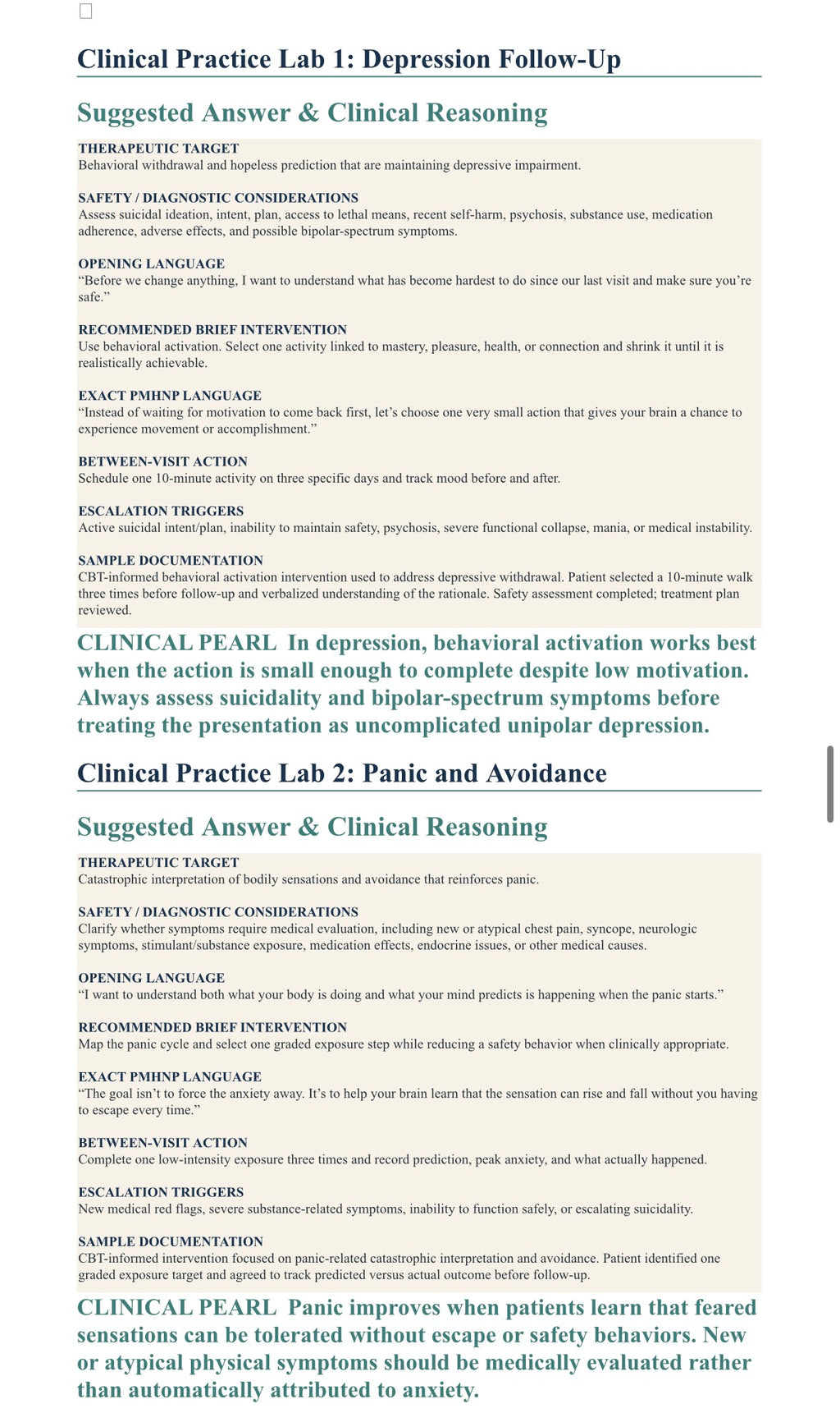 Beyond The Prescription: Brief Therapeutic Techniques for the PMHNP