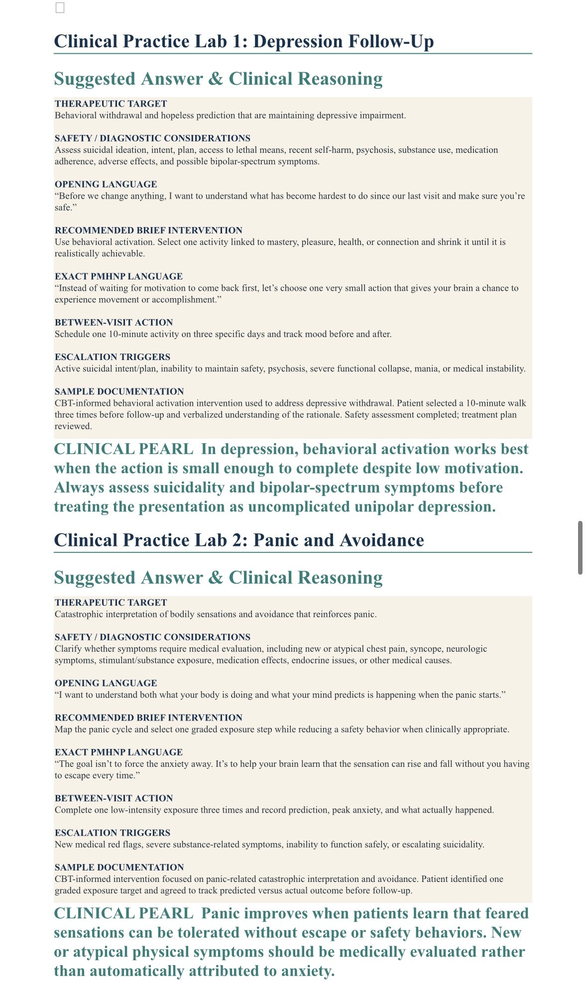 Beyond The Prescription: Brief Therapeutic Techniques for the PMHNP